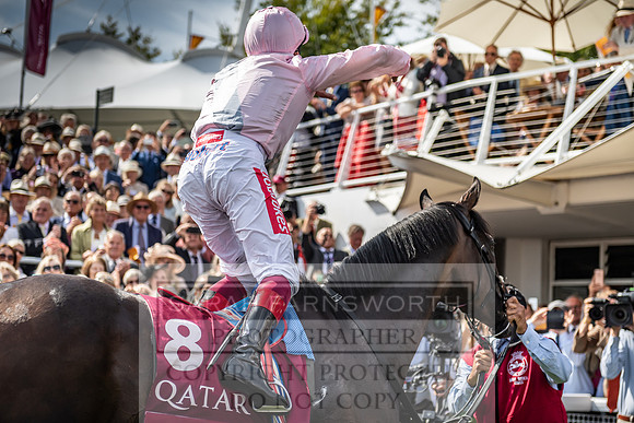 GUK Goodwood Sale 2019-180