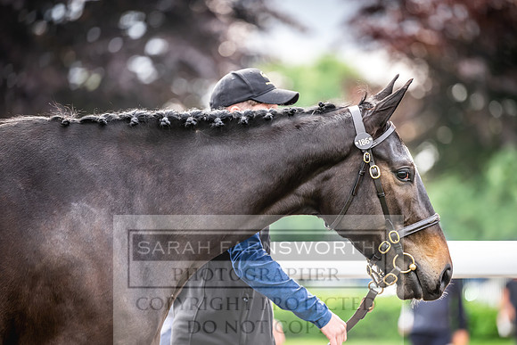 Goffs UK Spring Sale 2024-175