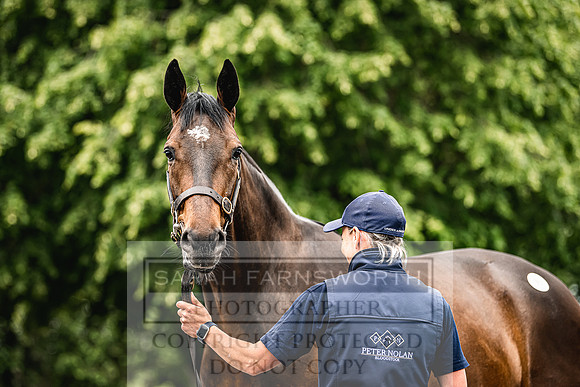 Goffs Land Rover Sale 2022-234