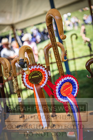 Rydal Hound Show 2022-120