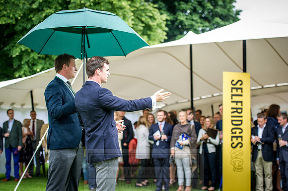 Goffs London Sale 2016-242
