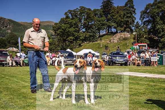 Rydal Hound Show 2022-65