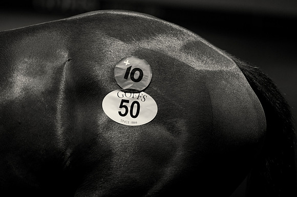 Goffs Orby14 CF5 241 bw