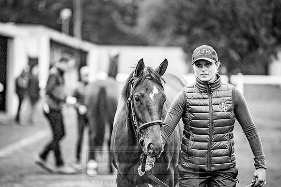Goffs Orby 2018 Day 2-45
