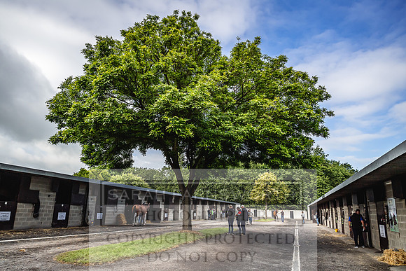 Goffs Land Rover Sale 2022-17