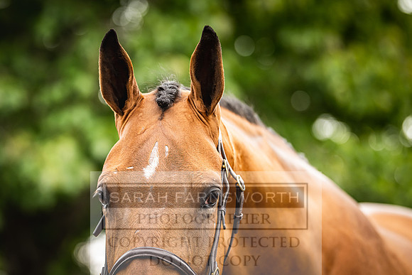 Goffs Land Rover Sale 2022-311