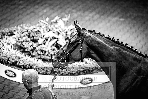 Goffs Land Rover Sale 2022-556