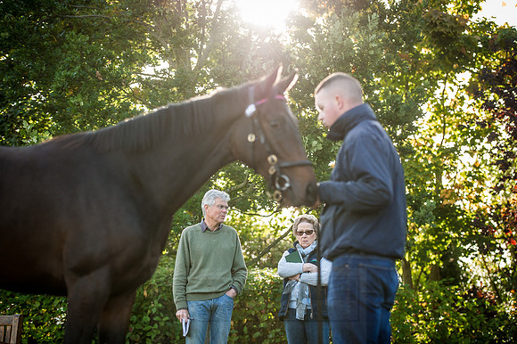 Goffs Orby 2015 -199