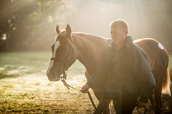 Goffs Orby 2015 -478