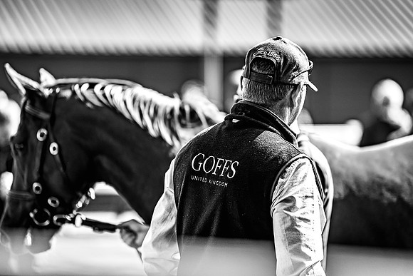Goffs UK Breeze Up 2022-190