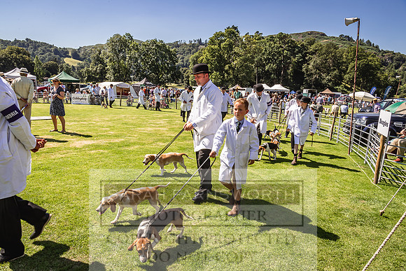 Rydal Hound Show 2022-113