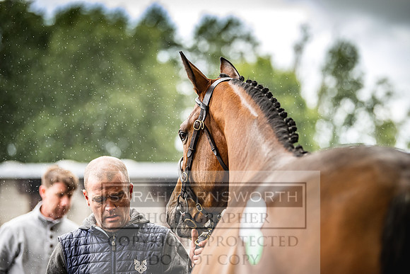Goffs Land Rover Sale 2022-576