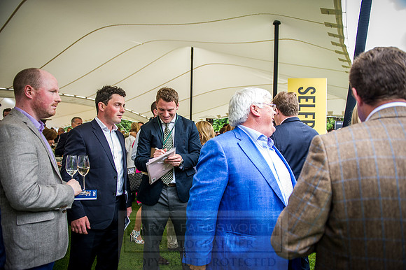 Goffs London Sale 2016-293