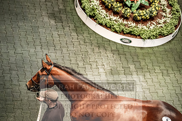 Goffs Land Rover Sale 2022-171