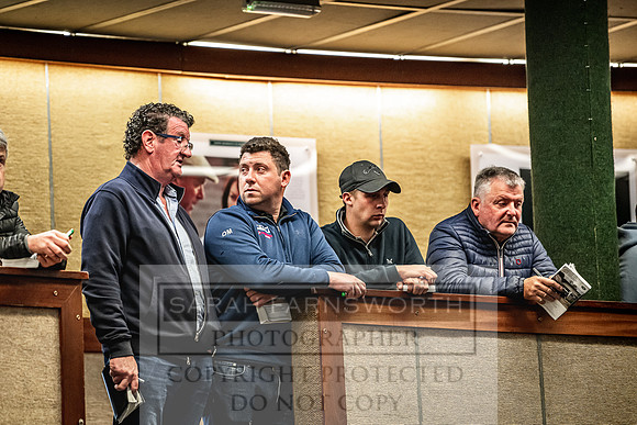 Goffs Land Rover Sale 2022-198