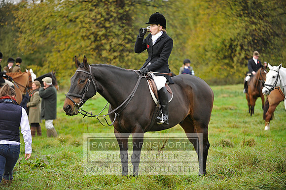 Brocklesby 021113 CF3 078