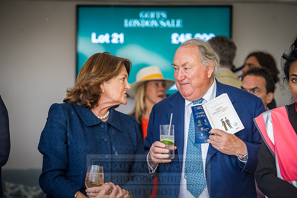 Goffs London Sale 2016-331