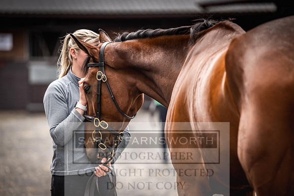 Goffs UK Spring Sale 2024-148