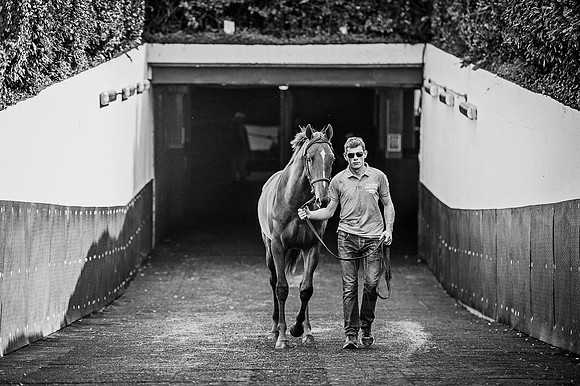 Goffs Orby 2015 -601 bw