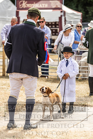 Honiton Hound Show 2022-131