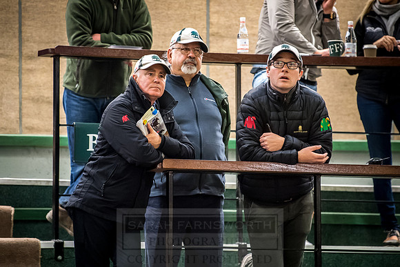 Goffs Orby 2018 Day 2-169