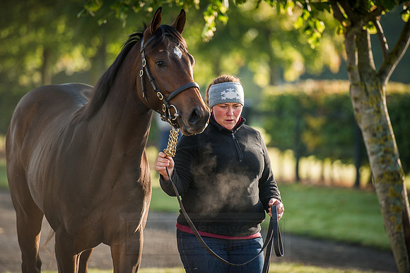 Goffs Orby 2015 -166