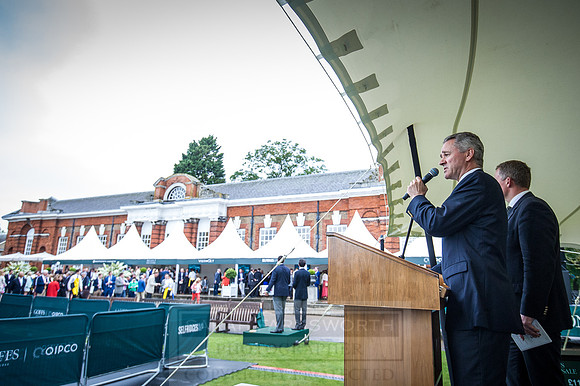 Goffs London Sale 2016-461