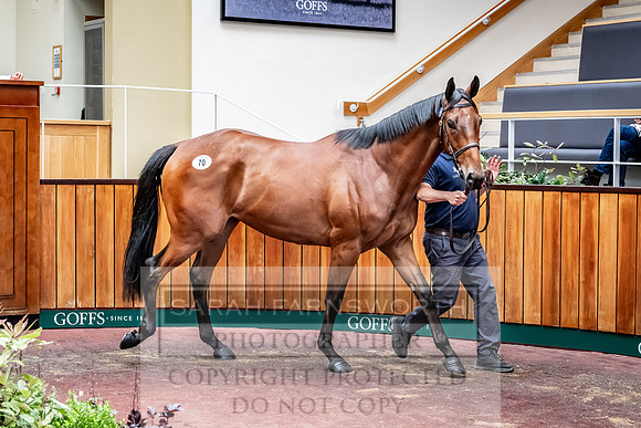 Goffs UK Spring Sale 2024-128