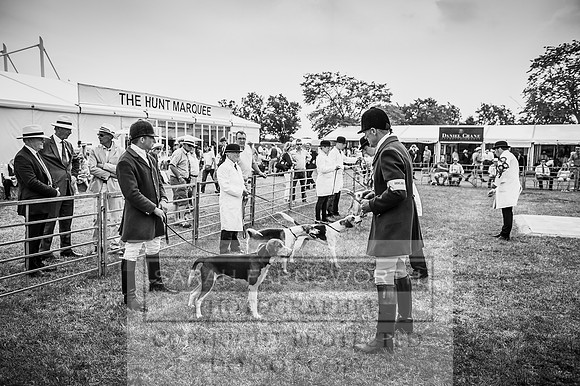 PFoH 2016-330