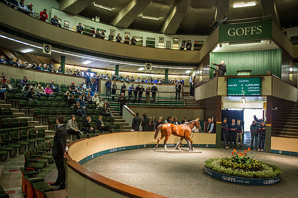 Goffs Orby 2015 -245