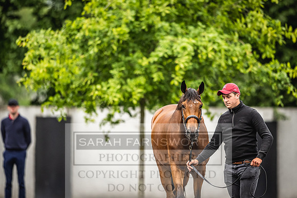 Goffs Land Rover Sale 2022-486
