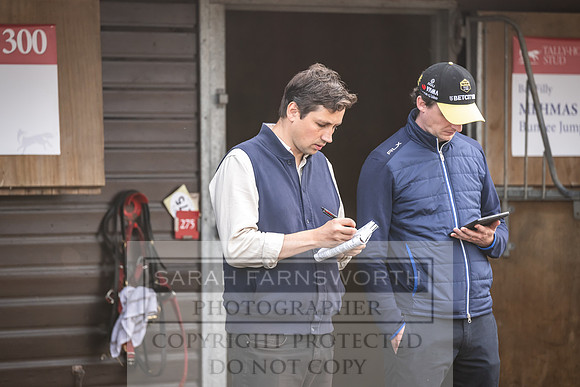 Goffs UK PY24-261
