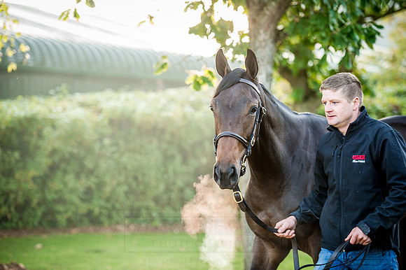 Goffs Orby 2015 -152