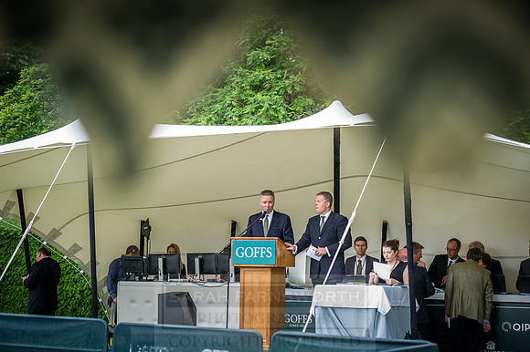 Goffs London Sale 2016-344
