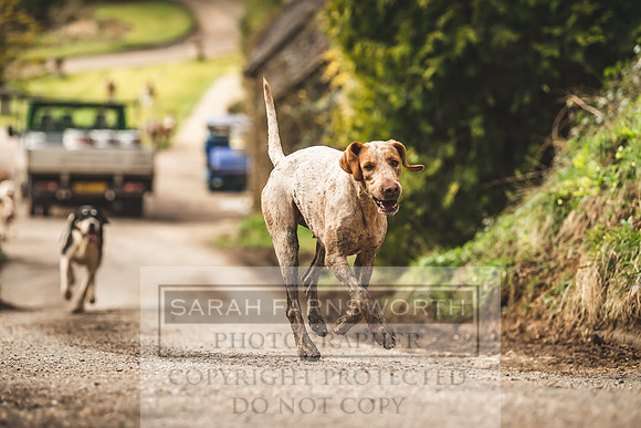 Thurlow at Heythrop 130319-557