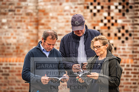 Goffs Yorton Sale 2022-214