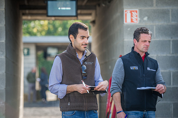Goffs Orby 2015 -280
