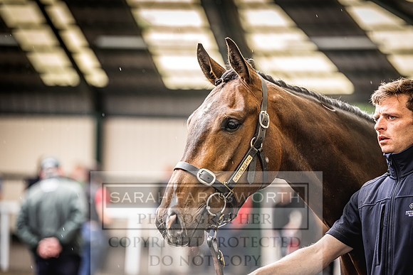 Goffs Land Rover Sale 2022-420
