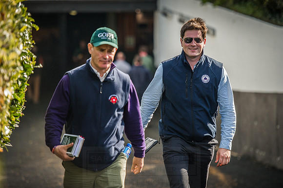 Goffs Orby 2015 -595