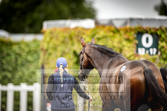 Goffs Land Rover Sale 2022-613