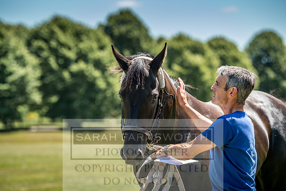 Goffs London Sale 2018-8