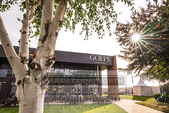 Goffs UK PY24-323