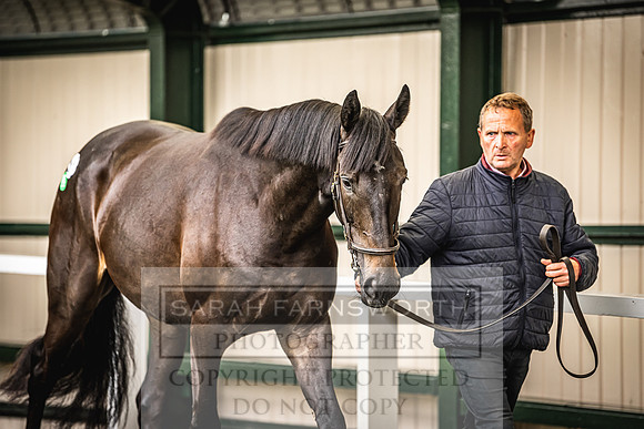Goffs Land Rover Sale 2022-416