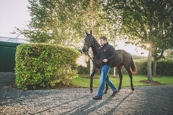 Goffs Orby 2015 -157