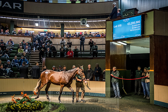 Goffs Orby 2018 Day 2-184
