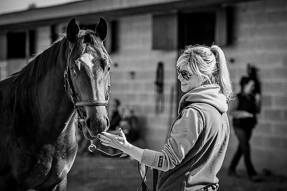 Goffs Orby 2015 -309 bw
