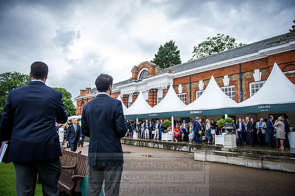 Goffs London Sale 2016-270