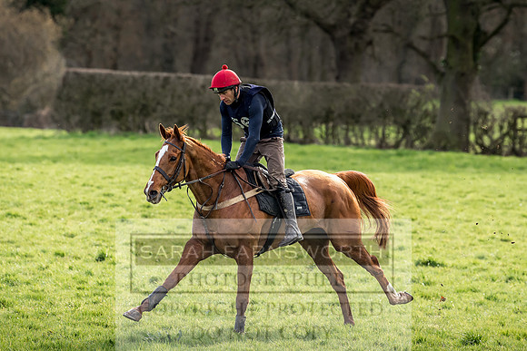 Wynnstay Hunt Ride 2019-82