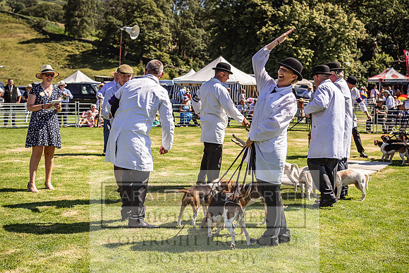 Rydal Hound Show 2022-92