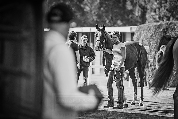 Goffs Orby 2015 -597 bw